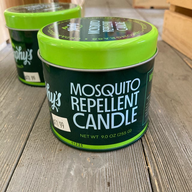 Candles | Wonder Gift & Garden